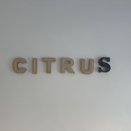 Alhaurín de la Torre Citrus Suite By Alhaurin Loft City Center מראה חיצוני תמונה